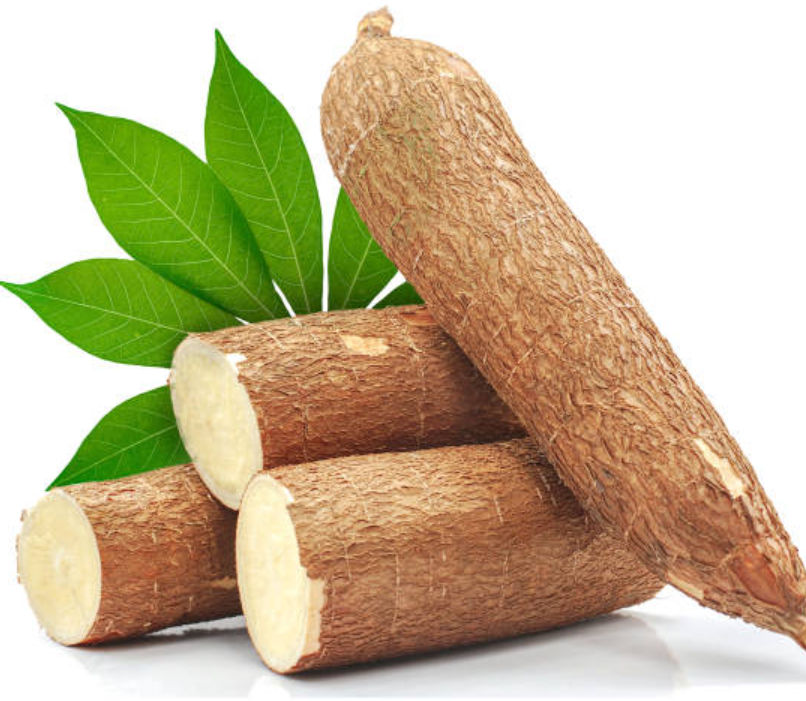 Cassava