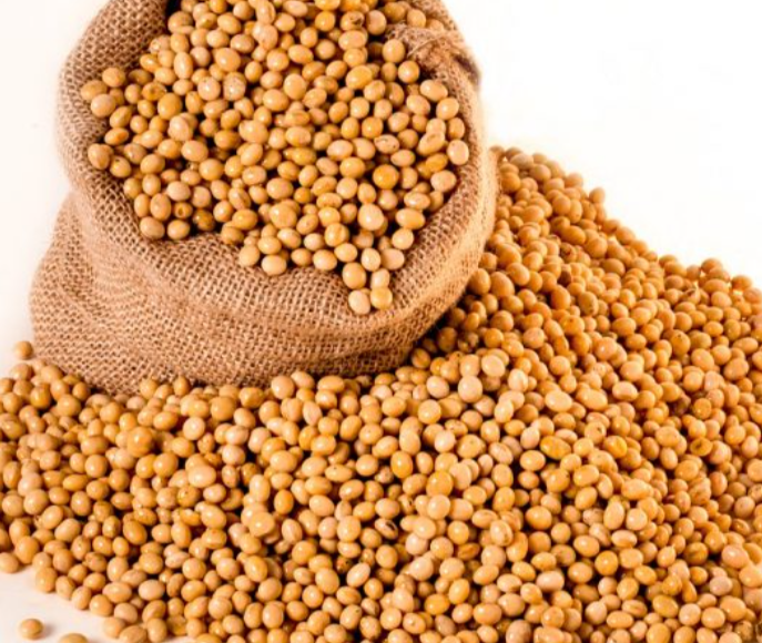 Soya Beans